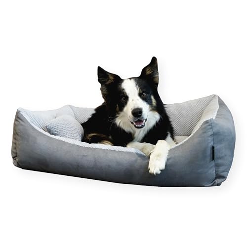 4L Textil Teo Katzenbett flauschig Katzenkörbchen Katzensofa Kuscheliges Hundebett kleine Hunde Katzenkorb waschbar Hundekorb für Welpen Grau (60x40 cm, Grau) von 4L Textil
