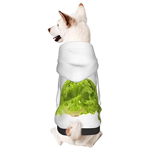 Hund Hoodie, Gemüse Kapuzenpullis Warme Kapuzenpulli Für Hunde Atmungsaktiver Hunde Kleider Für Welpen Mittelgroße Hunde Katze M von 550
