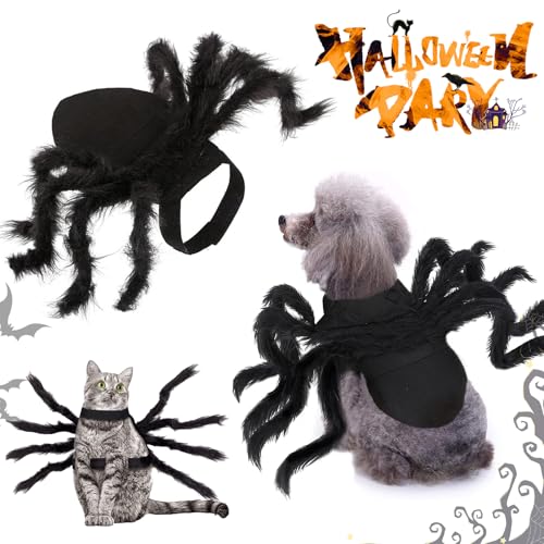 Spinnenkostüm für Klein Mittelgroße Hunde und Katzen - Einstellbares Schwarzes Halloween Haustier Kostüm - Spinne Cosplay für Horror Dekoration Zubehör von 71Nmly