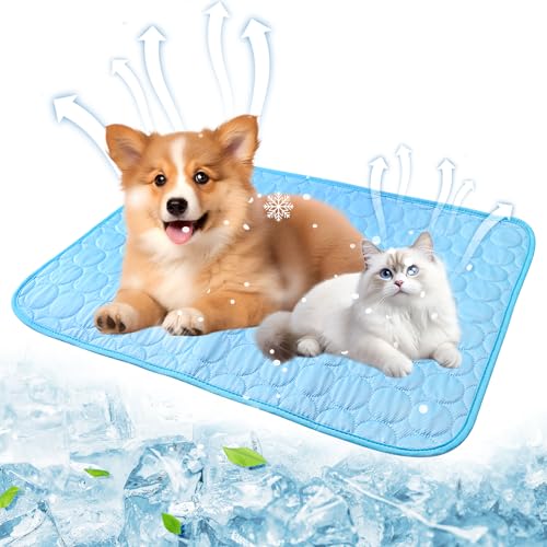 71Nmly Kühlmatte Hund,Kühldecke Katze,70×55cm Hundekühlmatte Selbstkühlend,Waschbar Kühldecke Hund Katze,Haustier Kühlmatte,Sommer Kühlkissen Hundematte für Drinnen,Draußen,Sofa,Käfig,Auto von 71Nmly