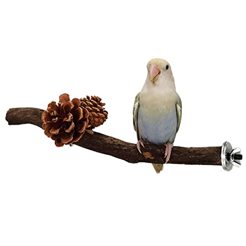 A/A Creative Pine Cone Birdcage Ständer | Bird Bite Claw Schleifspielzeug,Natürliches Vogel-Übungsspielzeug zum Kauen für Papageien, Aras, Kakadus, Sittiche von A/A