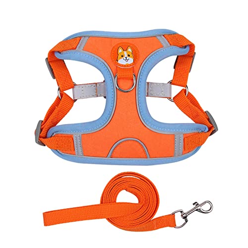 Hundegeschirr | Bequemes und atmungsaktives Hundegeschirr, reflektierend, kein Ziehen, bequeme Hundeleine für Outdoor-Spaziergänge, Laufen, Wandern, Camping A/a Hundegeschirr | Bequemes und atmungsaktives Hundegeschirr, reflektierend, kein Ziehen, bequeme Hundeleine für Outdoor-Spaziergänge, Laufen, Wandern, Camping A/a von A/A