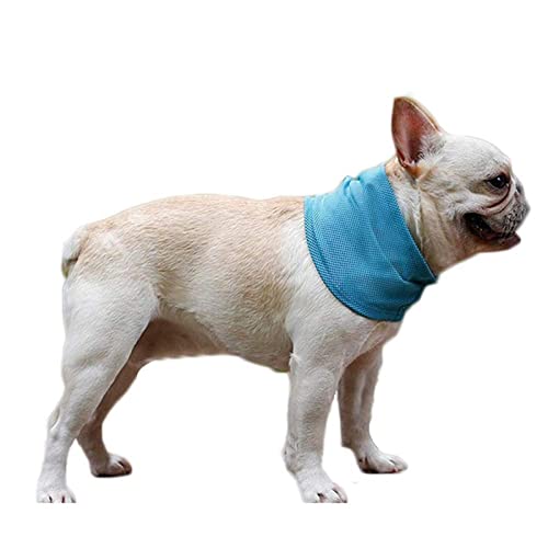 A/R Kühlender Schal für Haustiere - Hund sofort kühlendes Bandana - Erfrischendes Eisbandana, sofort kühlendes Handtuch, atmungsaktiver Wärmeableitungsschal, Eiskragen für den Sommer von A/R