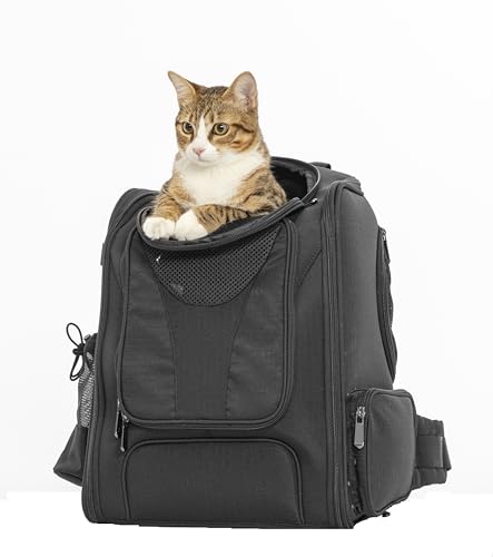 A 4 Pet Hunderucksack mit Sicherheitsgurt Rucksack für kleine Hunde Backpack für Katzen Katzen Rucksack mit Druckreduzierendem Bund, Schwarz/S von A 4 Pet