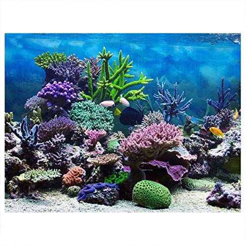 Aquarium-Poster, PVC, selbstklebend, Unterwasserkoralle, Aquarium-Hintergrund, Poster, Dekoration, Papier, Aquarium-Poster (61 x 41 cm) von A sixx