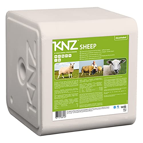 A&G-heute 10kg Leckstein Sheep 1 x 10 kg KNZ Mineralleckstein Mineralstein Salzleckstein Schaf Lamm Lämmer Nutztiere Weiss von A&G-heute