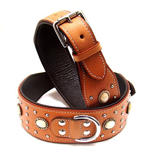Hundehalsband aus Leder hoher Qualität, Halsband Neu LDC-406, Halsband Länge:ca. 58 cm Halsumfang 43-53 cm von A&M Reitsport