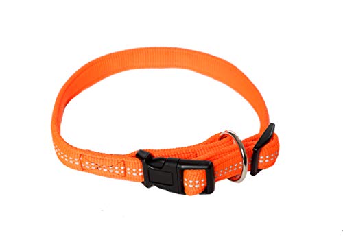 A. Hoffmann GmbH Hundehalsband, Super Soft, Neonorange, 30-50cm, 20mm, mit Zugentlastung, reflektierend A. Hoffmann GmbH Hundehalsband, Super Soft, Neonorange, 30-50cm, 20mm, mit Zugentlastung, reflektierend von A. Hoffmann GmbH
