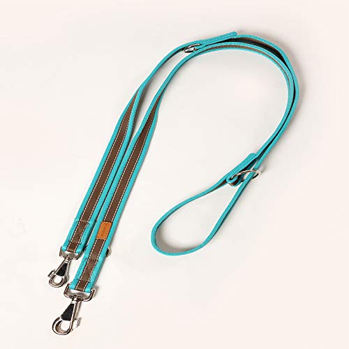 A. Hoffmann GmbH Hundeleine, Soft Grip Nylonleine, Führleine türkis/braun, 3-Fach verstellbar 100-210 cm, 20 mm - passend zu den Feltmann Hundegeschirren, Kanten gepolstert, reflektierende Ziernähte A. Hoffmann GmbH Hundeleine, Soft Grip Nylonleine, Führleine türkis/braun, 3-Fach verstellbar 100-210 cm, 20 mm - passend zu den Feltmann Hundegeschirren, Kanten gepolstert, reflektierende Ziernähte von A. Hoffmann GmbH