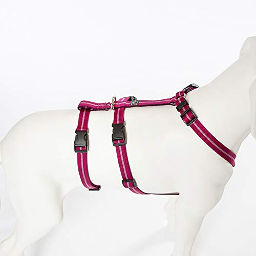 A. Hoffmann GmbH No Exit ausbruchsicheres Hundegeschirr für Angsthund, Sicherheitsgeschirr für Pflegehund, Panikgeschirr, Pflaume Streifen, Bauchumfang 55-75 cm, 20 mm Bandbreite A. Hoffmann GmbH No Exit ausbruchsicheres Hundegeschirr für Angsthund, Sicherheitsgeschirr für Pflegehund, Panikgeschirr, Pflaume Streifen, Bauchumfang 55-75 cm, 20 mm Bandbreite von A. Hoffmann GmbH