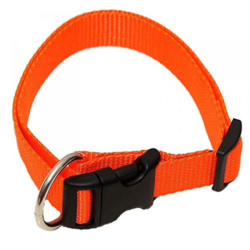 Hundehalsband, Wienerlock®, Soft Nylon, Uni Orange, 55-90cm, 25mm, mit Zugentlastung von A. Hoffmann GmbH