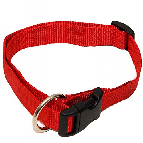 Hundehalsband, Wienerlock®, Soft Nylon, Uni Rot, 55-90cm, 25mm, mit Zugentlastung von A. Hoffmann GmbH