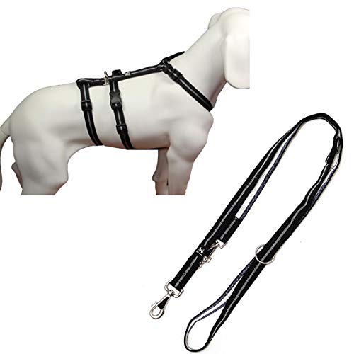 No Exit ausbruchsicheres Hundegeschirr für Angsthund, Sicherheitsgeschirr für Pflegehund, Panikgeschirr, schwarz Streifen, Bauchumfang 40-60 cm, 15 mm Bandbreite, mit passender Führleine No Exit ausbruchsicheres Hundegeschirr für Angsthund, Sicherheitsgeschirr für Pflegehund, Panikgeschirr, schwarz Streifen, Bauchumfang 40-60 cm, 15 mm Bandbreite, mit passender Führleine von A. Hoffmann GmbH