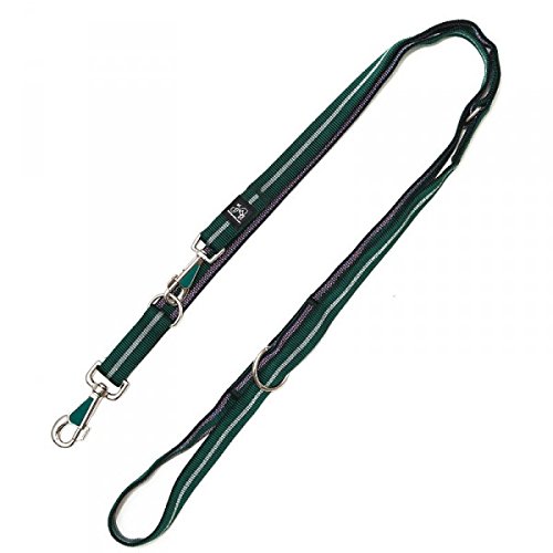 A. Hoffmann GmbH Nylonleine, Führleine Grün Streifen, 3-Fach verstellbar 100-210 cm, 25 mm - passend zu den Feltmann Hundegeschirren A. Hoffmann GmbH Nylonleine, Führleine Grün Streifen, 3-Fach verstellbar 100-210 cm, 25 mm - passend zu den Feltmann Hundegeschirren von A. Hoffmann GmbH