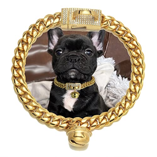 Hundehalsband für Katzen, 18 Karat Gold, breit, Edelstahl, Kätzchen-Choker, kubischer Zirkonia, kaufest, kubanische Gliederkette, 10 mm Kette mit goldfarbener Glocke Hundehalsband für Katzen, 18 Karat Gold, breit, Edelstahl, Kätzchen-Choker, kubischer Zirkonia, kaufest, kubanische Gliederkette, 10 mm Kette mit goldfarbener Glocke von AAAbling