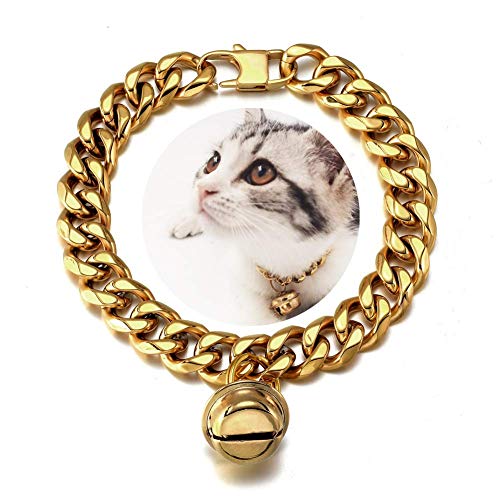 Rexiaoo 18K Gold Cat Dog Collar Kitten Puppy 1/2inch 12mm Wide Stainless Steel Kitten Choker Curb Chew Proof Cuban Link Chain with Bell(Neck Fit 8"-10") von AAAbling