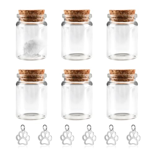 AABDTYYD Pet Haarschmuck Erinnerungsflasche mit Korken Hundepfotenanhänger mini Urne für Asche Tierurnen für Hunde Katzen kleine Säugetiere 6 Flaschen 6 Pfotenanhänger Andenken an verstorbenen Hund AABDTYYD Pet Haarschmuck Erinnerungsflasche mit Korken Hundepfotenanhänger mini Urne für Asche Tierurnen für Hunde Katzen kleine Säugetiere 6 Flaschen 6 Pfotenanhänger Andenken an verstorbenen Hund von AABDTYYD
