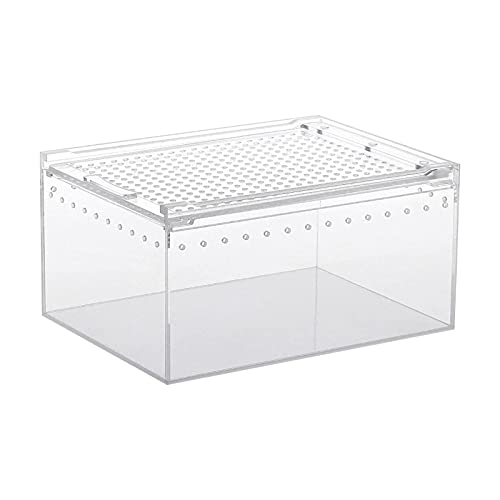 AADEE Insekten-Futterbox Transparent Montiert Acryl Futterbox DIY Montage Hängen Reptilien Zuchtbox Acryl Transparent Futterkäfig für Insekten Reptilien Schnecken von AADEE