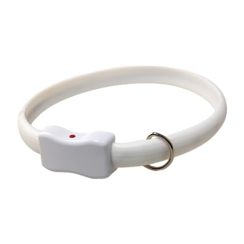 halsband lichter für hundehalsband blinklichter usb wiederaufladbar hund lichterkette für hunde wasserdichte hundehalsband leuchthalsband led licht bequemes hundehalsband blinkendes halsband lichter halsband lichter für hundehalsband blinklichter usb wiederaufladbar hund lichterkette für hunde wasserdichte hundehalsband leuchthalsband led licht bequemes hundehalsband blinkendes halsband lichter von AAKOMA
