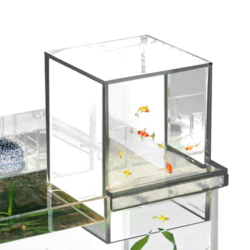 AALLYN Unterdruck-Aquarium, Acryl-Aquarium - Transparente klare Fischaufzugsdekorationen,Vakuumaufgehängt, über Wasser, umgekehrt, leichtes Acryl-Aquarium, vergrößert den Aktivitätsbereich der Fische von AALLYN