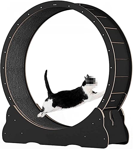 Cat Runner Wheel Cat Scratch Board Pet Toy Cat Laufband Cats Loss Weight Device Wheel für Pet Loss Weight und Daily Exercise von AAPIE