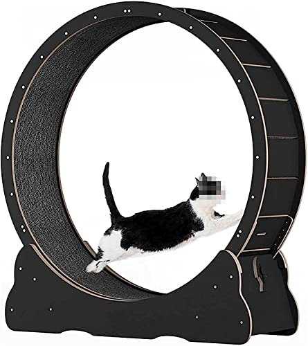 Cat Runner Wheel Cat Scratch Board Pet Toy Cat Laufband Cats Loss Weight Device Wheel für Pet Loss Weight und Daily Exercise Cat Runner Wheel Cat Scratch Board Pet Toy Cat Laufband Cats Loss Weight Device Wheel für Pet Loss Weight und Daily Exercise von AAPIE