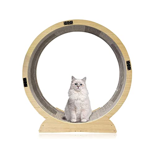 Cat Wheel Cat Laufband Rad Cat Wheel Exerciser mit Sicherheitsverschluss für alle Katzen geeignet Geräuschlos Linderung von Bewegungsmangel Katzenspielzeug von AAPIE