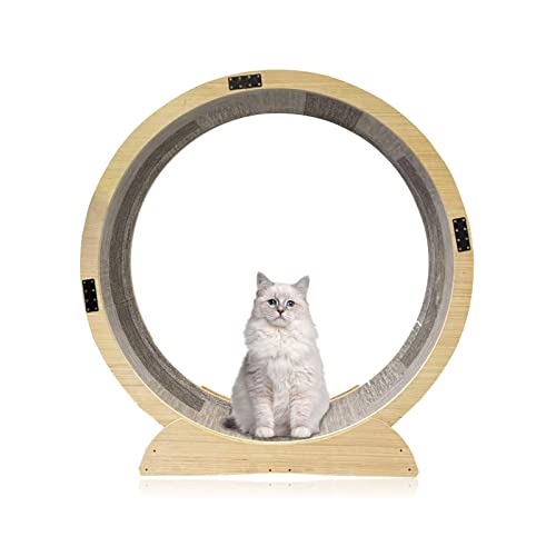 Cat Wheel Cat Laufband Rad Cat Wheel Exerciser mit Sicherheitsverschluss für alle Katzen geeignet Geräuschlos Linderung von Bewegungsmangel Katzenspielzeug Cat Wheel Cat Laufband Rad Cat Wheel Exerciser mit Sicherheitsverschluss für alle Katzen geeignet Geräuschlos Linderung von Bewegungsmangel Katzenspielzeug von AAPIE