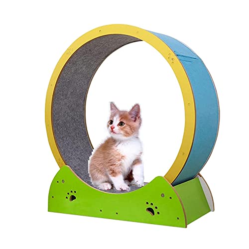 Katzen-Laufband Katzen-Klettergerüst Riesenrad geformte Katzenkratzer Katzen Laufen Spinning Spielzeug für Katzen Small Medium Größe Tägliches Training von AAPIE