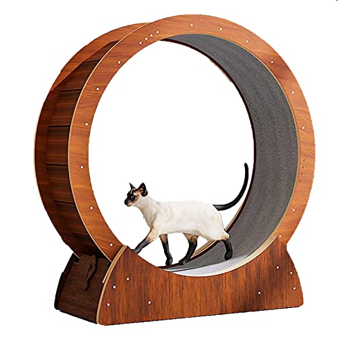 Katzen-Laufrad Katzen-Laufrad mit Laufbahn mit Teppichboden und geräuschloser Rolle für Übungen zur Gewichtsabnahme bei Haustieren und zur Verringerung von Langeweile Katzen-Laufrad Katzen-Laufrad mit Laufbahn mit Teppichboden und geräuschloser Rolle für Übungen zur Gewichtsabnahme bei Haustieren und zur Verringerung von Langeweile von AAPIE