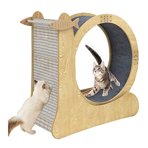 Katzen-Trainingsrad Katzen-Laufband Haustierspielzeug Katzen Abnehmen Gerät mit Kratzer und Teppich-Laufbahn für Indoor-Laufen & Bewegung Katzen-Trainingsrad Katzen-Laufband Haustierspielzeug Katzen Abnehmen Gerät mit Kratzer und Teppich-Laufbahn für Indoor-Laufen & Bewegung von AAPIE
