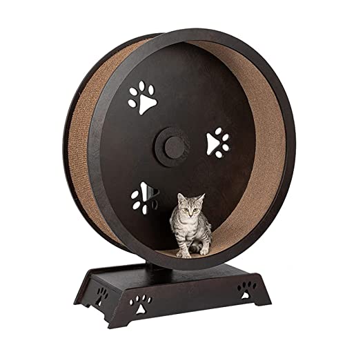 Katzen-Trainingsrad für Haustiere, geräuschloses Laufband, Katzenrad, Katzenlaufrad mit Übungs-Gewichtsverlustgerät, geeignet für Katzen-Fitness Katzen-Trainingsrad für Haustiere, geräuschloses Laufband, Katzenrad, Katzenlaufrad mit Übungs-Gewichtsverlustgerät, geeignet für Katzen-Fitness von AAPIE
