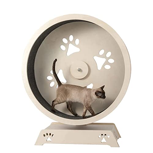 Katzen-Trainingsrad für Haustiere, geräuschloses Laufband, Katzenrad, Katzenlaufrad mit Übungs-Gewichtsverlustgerät, geeignet für Katzen-Fitness Katzen-Trainingsrad für Haustiere, geräuschloses Laufband, Katzenrad, Katzenlaufrad mit Übungs-Gewichtsverlustgerät, geeignet für Katzen-Fitness von AAPIE