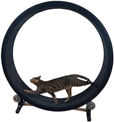 Katzen-Übungsrad Katzen-Klettergerüst Katzenspielzeug Roller Katzenlaufband Katzen Abnehmen Gewichtsverlust Gerät für Haustier Abnehmen und tägliche Übung von AAPIE