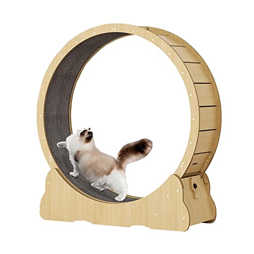 Laufrad für Katzen, Laufrad für Katzen, Laufband für Katzen, Laufband mit Teppichboden, Spielzeug für Haustiere, perfekt für die Gewichtsabnahme von Katzen und spielerischen Spaß Laufrad für Katzen, Laufrad für Katzen, Laufband für Katzen, Laufband mit Teppichboden, Spielzeug für Haustiere, perfekt für die Gewichtsabnahme von Katzen und spielerischen Spaß von AAPIE