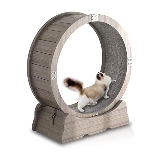 Katzenrad Katzen-Laufrad Katzenräder für Katzen im Innenbereich Katzenrad-Übungsgerät Katzen-Gewichtsabnahmegerät für Gewichtsabnahme bei Haustieren Katzenrad Katzen-Laufrad Katzenräder für Katzen im Innenbereich Katzenrad-Übungsgerät Katzen-Gewichtsabnahmegerät für Gewichtsabnahme bei Haustieren von AAPIE