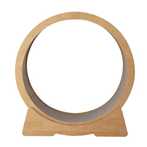 Katzenrad Katzenlaufband Katzenrad Trainingsgerät Katzenrad Leise Kletterrolle für Spielzeug Workout Spiel Spaziergang Haustiere Zubehör Katzenrad Katzenlaufband Katzenrad Trainingsgerät Katzenrad Leise Kletterrolle für Spielzeug Workout Spiel Spaziergang Haustiere Zubehör von AAPIE