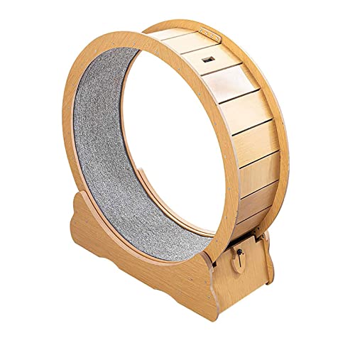 Cat Wheel Cat Laufband Cat Wheel Trainingsgerät mit Laufbahn mit Teppichboden Cat Laufrad für die Gewichtsabnahme und die tägliche Bewegung von Haustieren Cat Wheel Cat Laufband Cat Wheel Trainingsgerät mit Laufbahn mit Teppichboden Cat Laufrad für die Gewichtsabnahme und die tägliche Bewegung von Haustieren von AAPIE