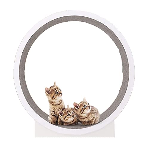 Cat Wheel Cat Laufband Riesenrad Design Cat Wheel Trainingsgerät Katzen Abnehmgerät für alle Katzen Laufen Spinning Scratching Cat Wheel Cat Laufband Riesenrad Design Cat Wheel Trainingsgerät Katzen Abnehmgerät für alle Katzen Laufen Spinning Scratching von AAPIE