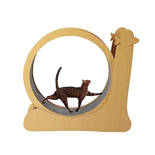 Laufband für Katzen, Haustierspielzeug, runde Laufräder, Laufrad für Katzen im Innenbereich, Laufbahn mit Teppichboden für Gewichtsverlust und Bewegung von Haustieren Laufband für Katzen, Haustierspielzeug, runde Laufräder, Laufrad für Katzen im Innenbereich, Laufbahn mit Teppichboden für Gewichtsverlust und Bewegung von Haustieren von AAPIE