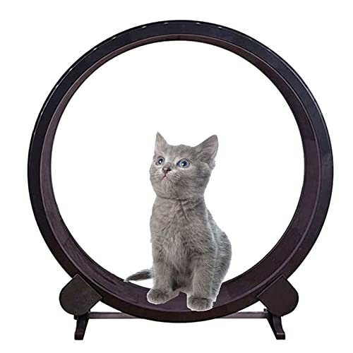 Laufband für Katzen, Laufband, Riesenrad, Haustier, Katze, Klettergerüst, Haustiermöbel, Katzenkratzbrett, Laufen, Spinning-Spielzeug für Katzen im Innenbereich von AAPIE