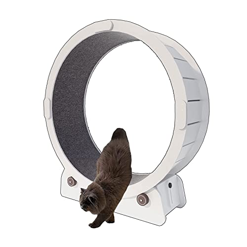 Laufband für Katzen, Laufband für Haustiere, Laufband für Katzen, Gewichtsverlustgerät, Haustierspielzeug zum Laufen, Spinnen, Kratzen Laufband für Katzen, Laufband für Haustiere, Laufband für Katzen, Gewichtsverlustgerät, Haustierspielzeug zum Laufen, Spinnen, Kratzen von AAPIE
