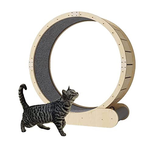Laufrad für Katzen, Laufband für Katzen, niedliche Katzenmöbel, Gerät zum Abnehmen, TPE, leise und geräuschlose Rollen für gesunde Katzen Laufrad für Katzen, Laufband für Katzen, niedliche Katzenmöbel, Gerät zum Abnehmen, TPE, leise und geräuschlose Rollen für gesunde Katzen von AAPIE