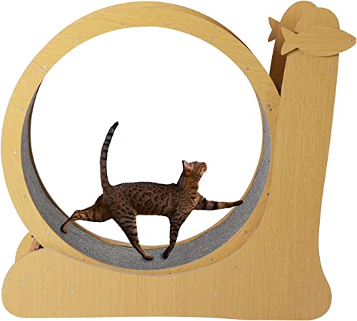 Laufrad für Katzen, Laufband für Katzen, runde Laufräder mit Teppichlaufbahn, Gewichtsverlustgerät für Katzen zum Abnehmen und Trainieren von Haustieren Laufrad für Katzen, Laufband für Katzen, runde Laufräder mit Teppichlaufbahn, Gewichtsverlustgerät für Katzen zum Abnehmen und Trainieren von Haustieren von AAPIE