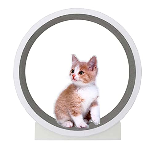 Laufrad für Katzen, Laufband für Katzen, süßes Katzenmöbel, Haustierspielzeug, Gewichtsverlustgerät für Katzen, Laufrad für den Innenbereich Laufrad für Katzen, Laufband für Katzen, süßes Katzenmöbel, Haustierspielzeug, Gewichtsverlustgerät für Katzen, Laufrad für den Innenbereich von AAPIE