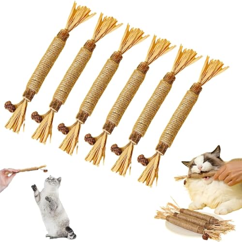 AAPIKA Katzenkaustab, natürliches Silvervine Stick, Katzenkauspielzeug, Silvervine Sticks für Katzen, Kauspielzeug für Katzen, Katzenminzestäbchen, Zahnreinigungsspielzeug (6 Stück) von AAPIKA