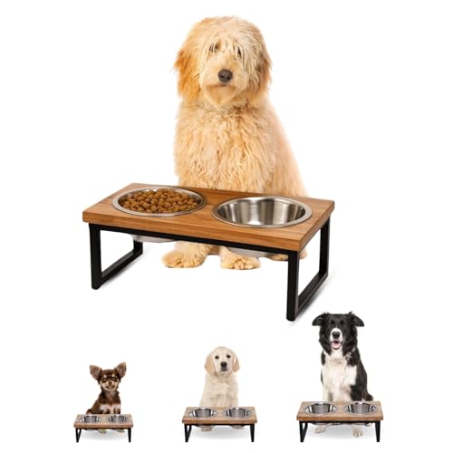 AASPIRE PETS Erhöhter Holzständer für Hunde, 15,2 cm, mit 2 Edelstahl-Futternäpfen, Wasser-Futternapf, 2 l, Größe L AASPIRE PETS Erhöhter Holzständer für Hunde, 15,2 cm, mit 2 Edelstahl-Futternäpfen, Wasser-Futternapf, 2 l, Größe L von AASPIRE PETS
