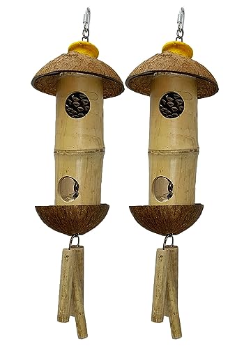 AB Tools 2 Stück natürliche Kokosnuss Holz erster Vogel Langeweile Breaker Spielspielzeug Tannenzapfen Überraschung von AB Tools