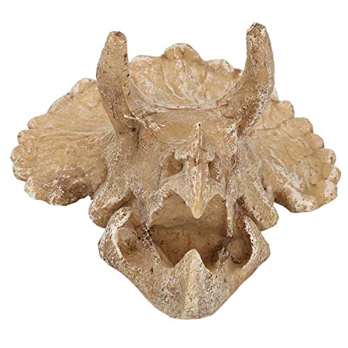 AB Tools Aquarium-Dekoration Triceratops, Schädelkopf, 9 x 12 x 15 cm von AB Tools
