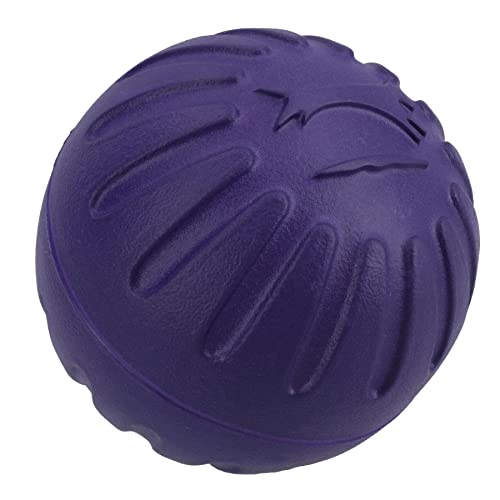 AB Tools Durafoam Hundespielzeug, interaktiv, groß, schwimmend, verschiedene Farben AB Tools Durafoam Hundespielzeug, interaktiv, groß, schwimmend, verschiedene Farben von AB Tools